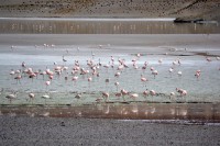 /album/fotogaleria-inicio/wee-7-jpg1/